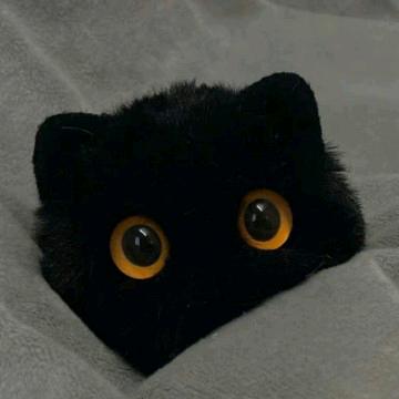 看海😽