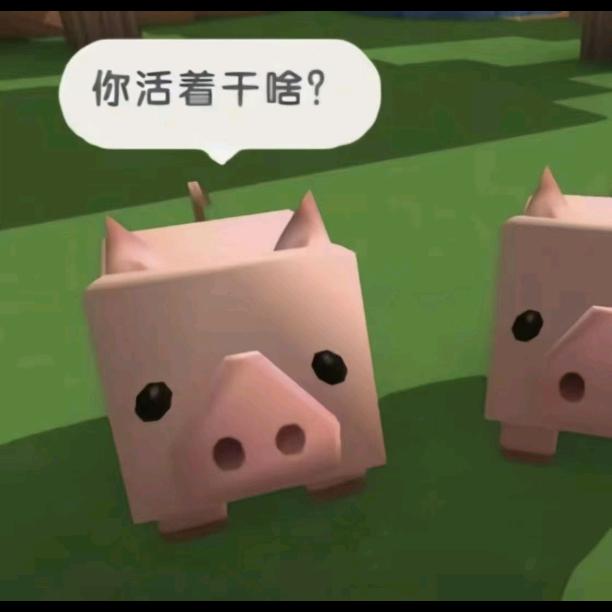 没关系因为我是猪
