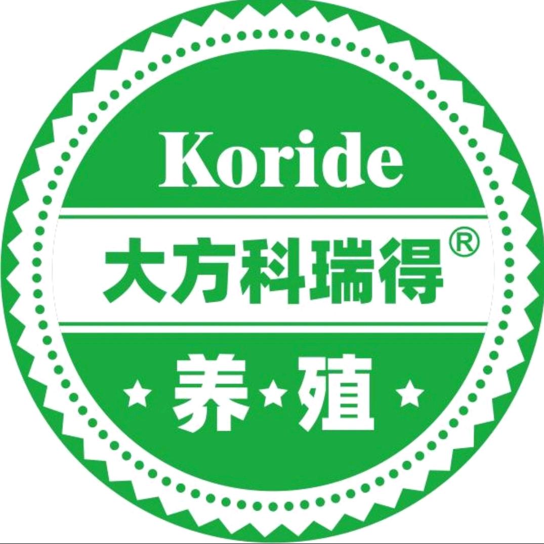大方科瑞得-涛哥鸽舍