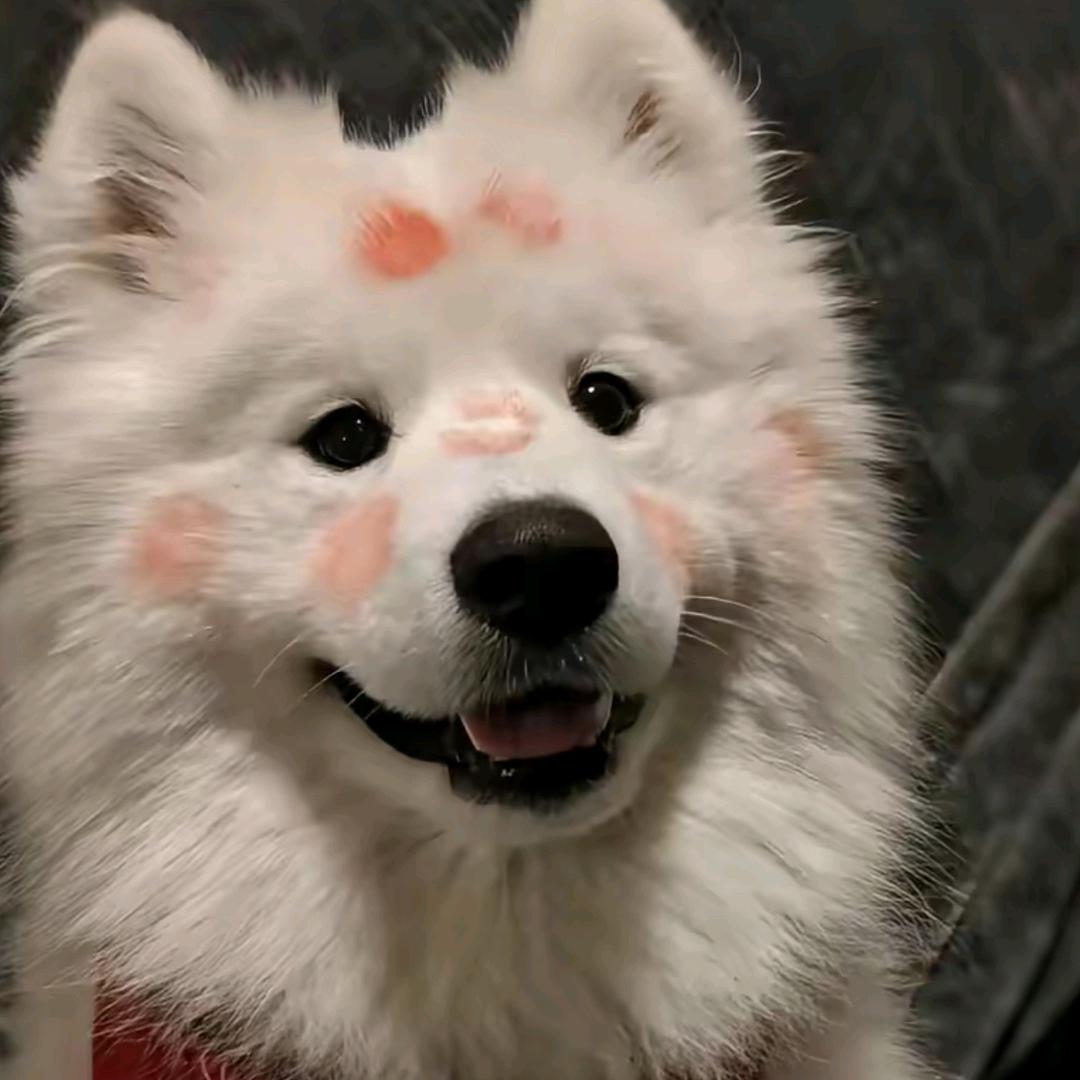 甜甜甜甜甜甜甜桃🍑