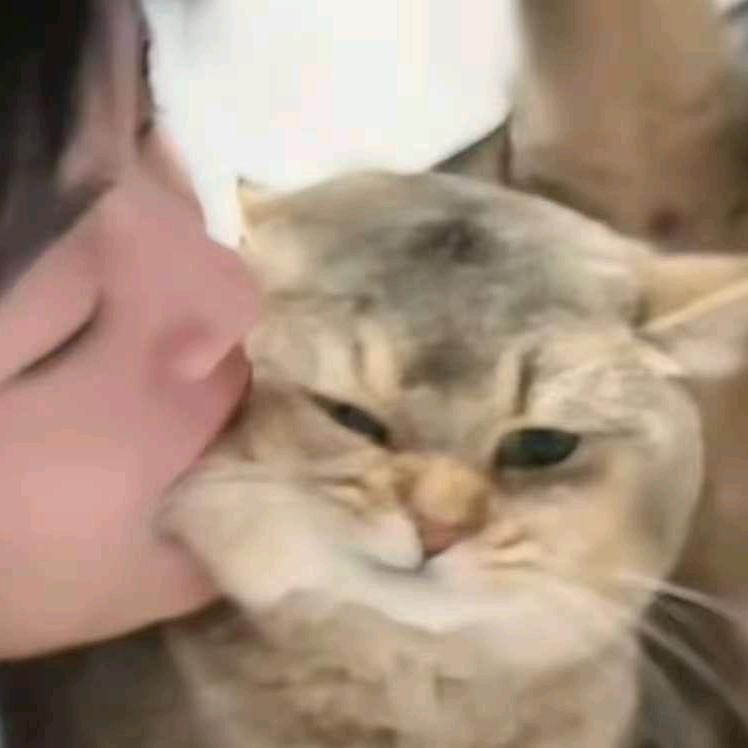 一粒QQ馨