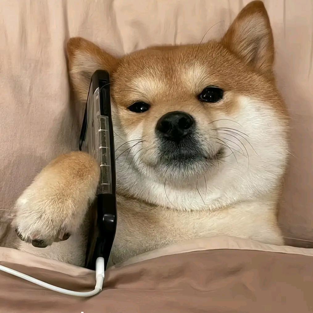 开心（恐游）