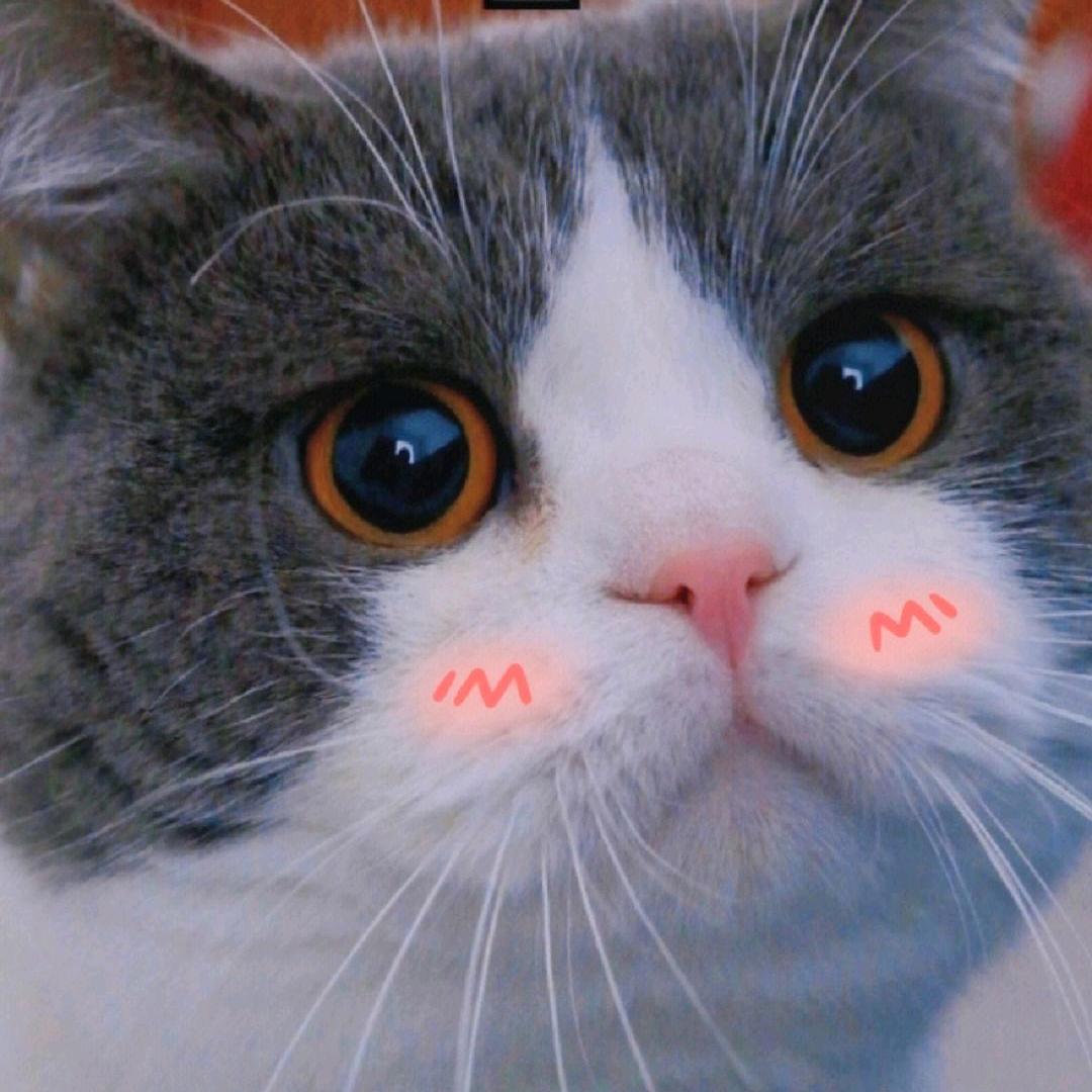 猛戳瞎子那张好嘴