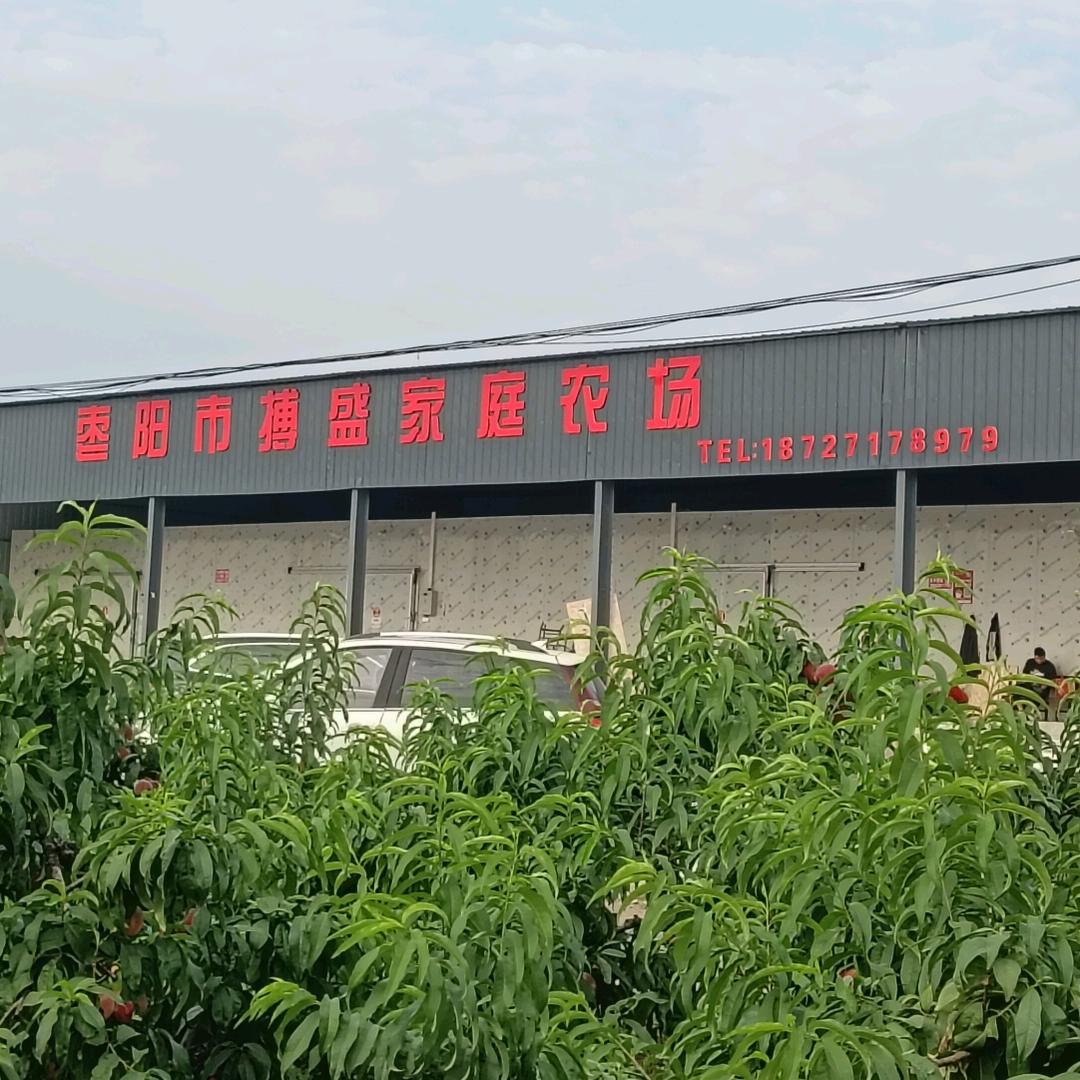 枣阳市搏盛家庭农场（冷库）