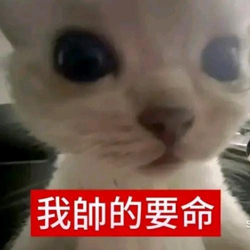 Miraitowa（嘻嘻）