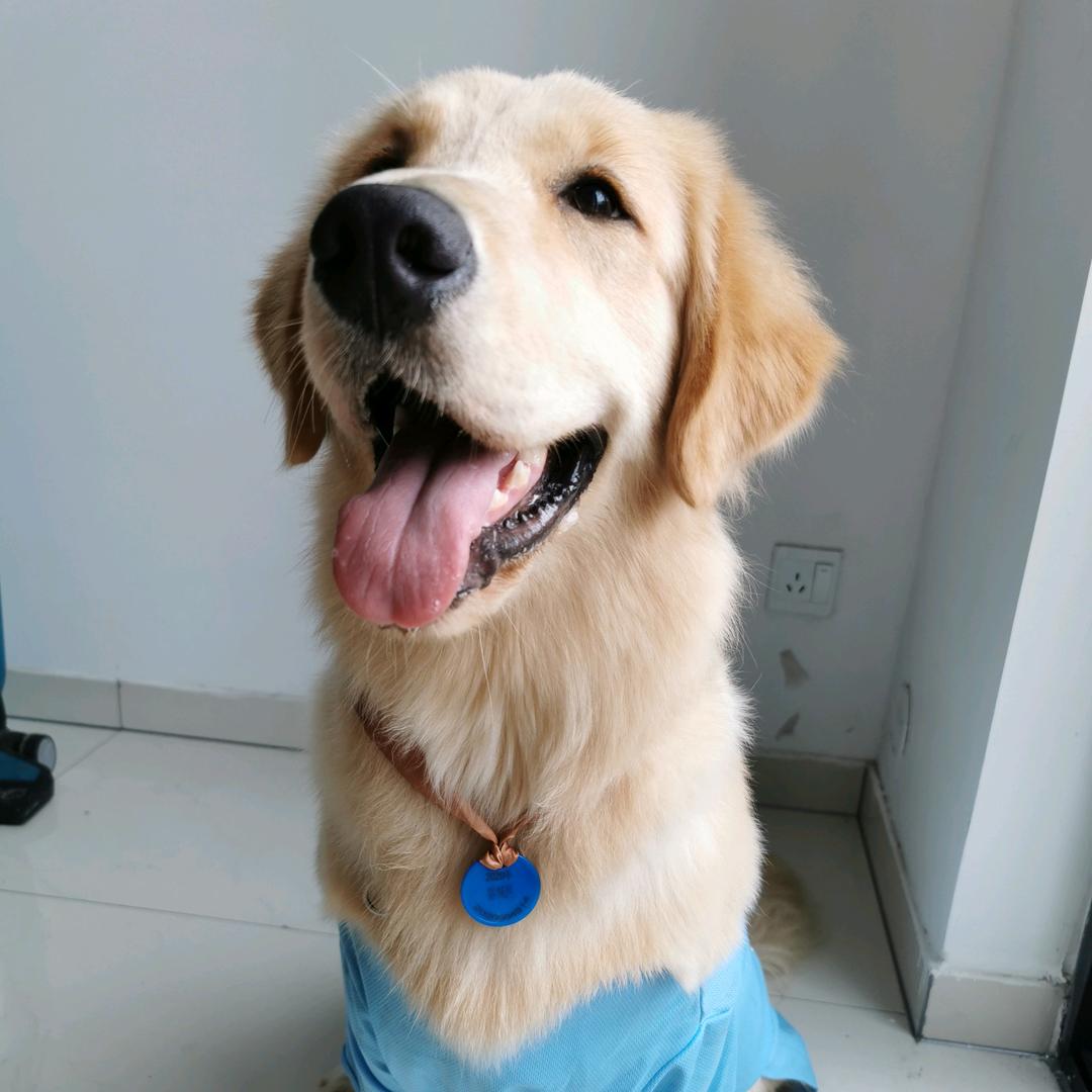 乐一乐