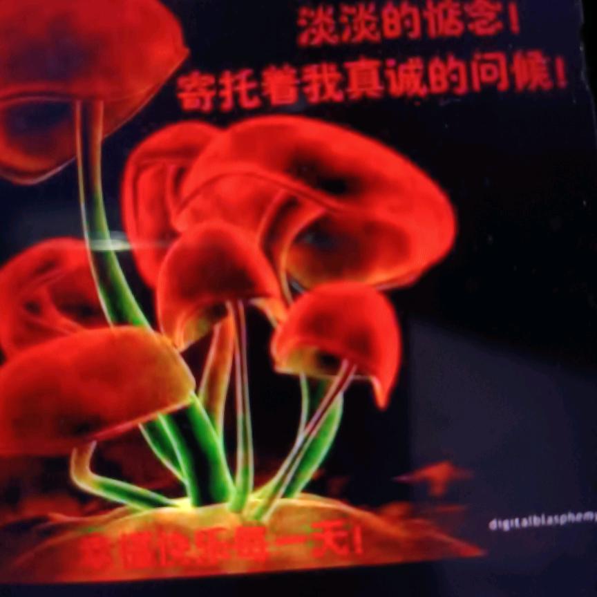 珍惜眼前
