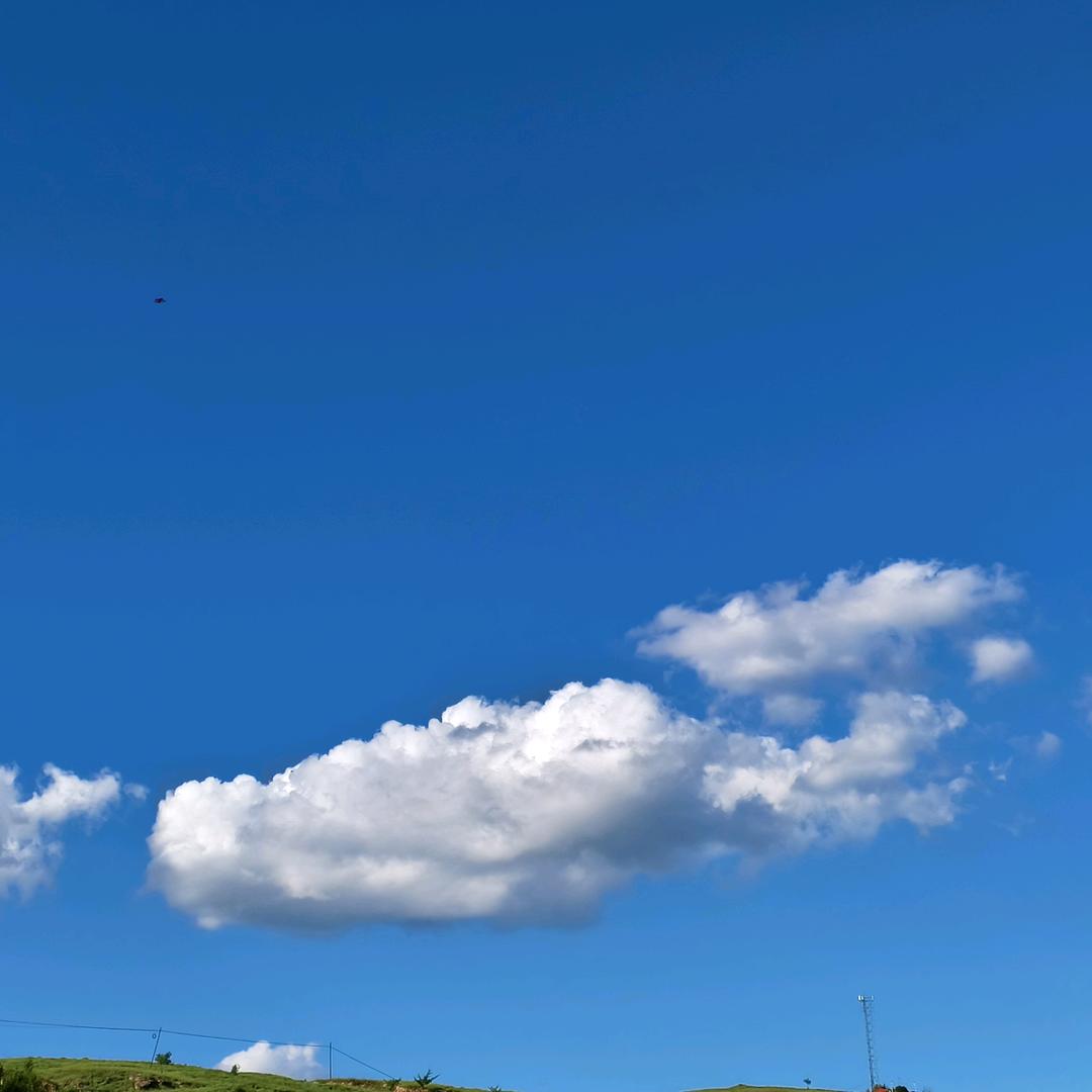 •᷄ࡇ•᷅