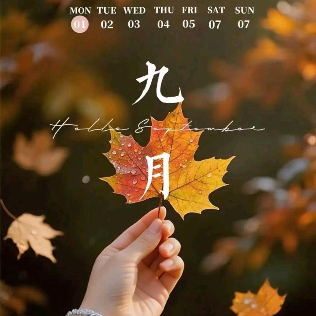夏天的东哥