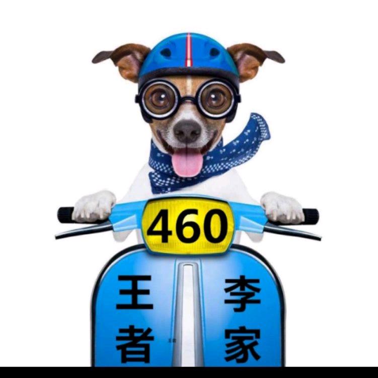 哦哦哦