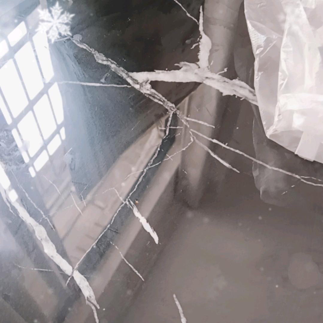 老林123