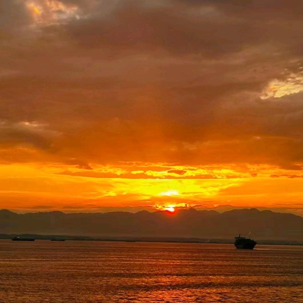 苏༃沫