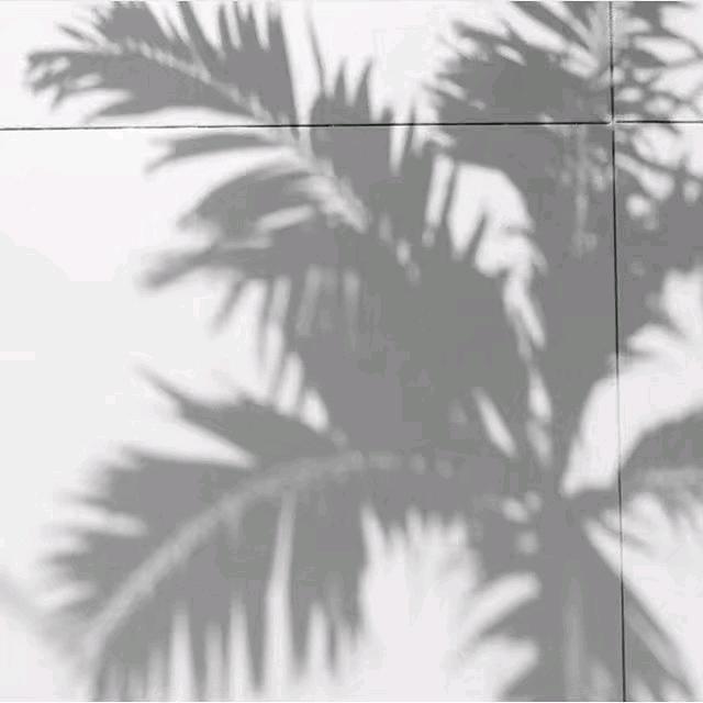 。.。.。