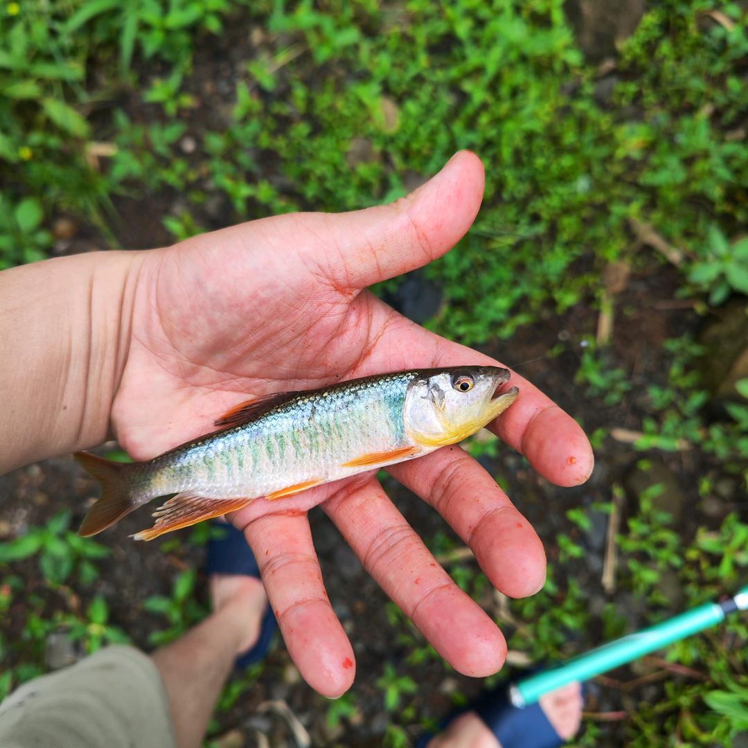 🌈奔跑🏃🏻‍♀️🏃🏻‍♀️🏃