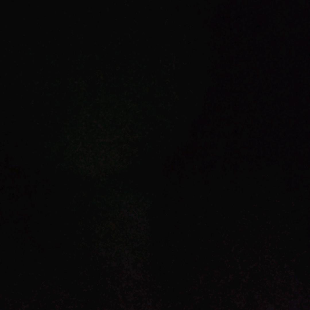 主