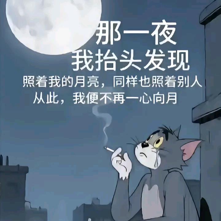 汤姆猫