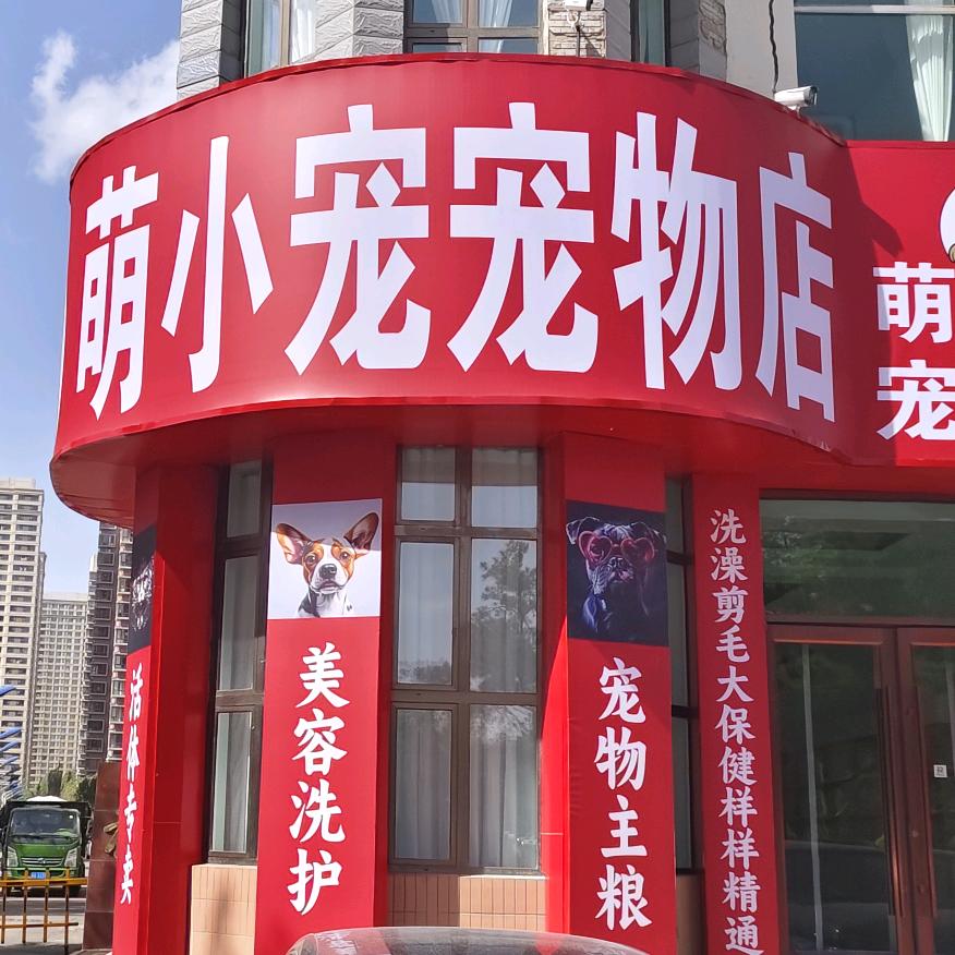 萌小宠宠物包头