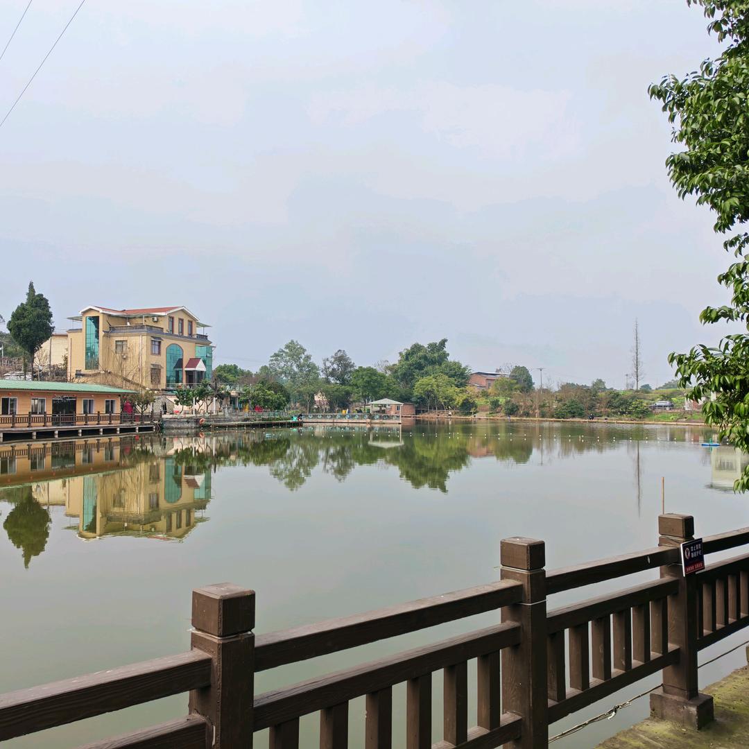 豆沙包