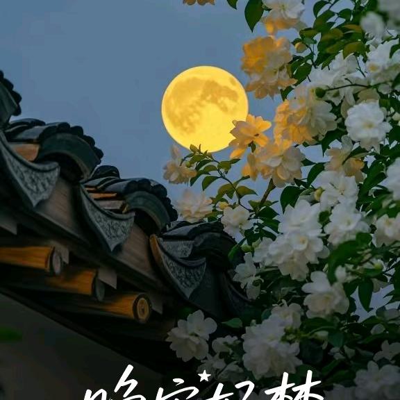 宗妹