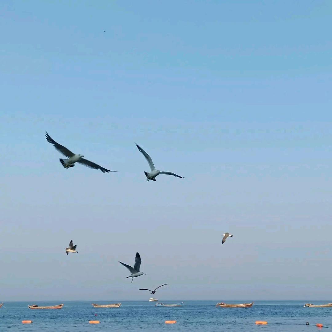 ㅤ    ㅤ