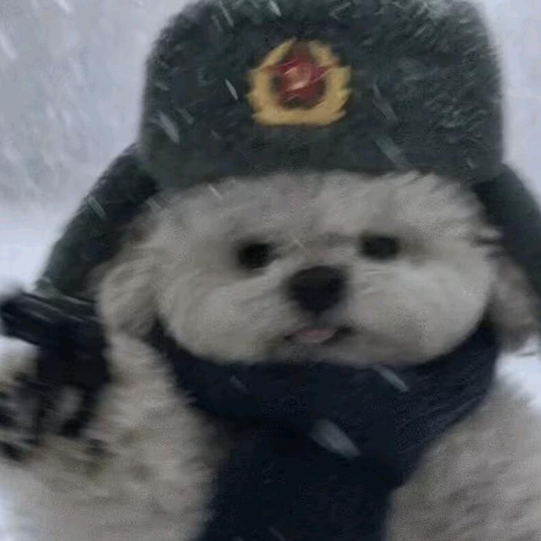宽呀么宽