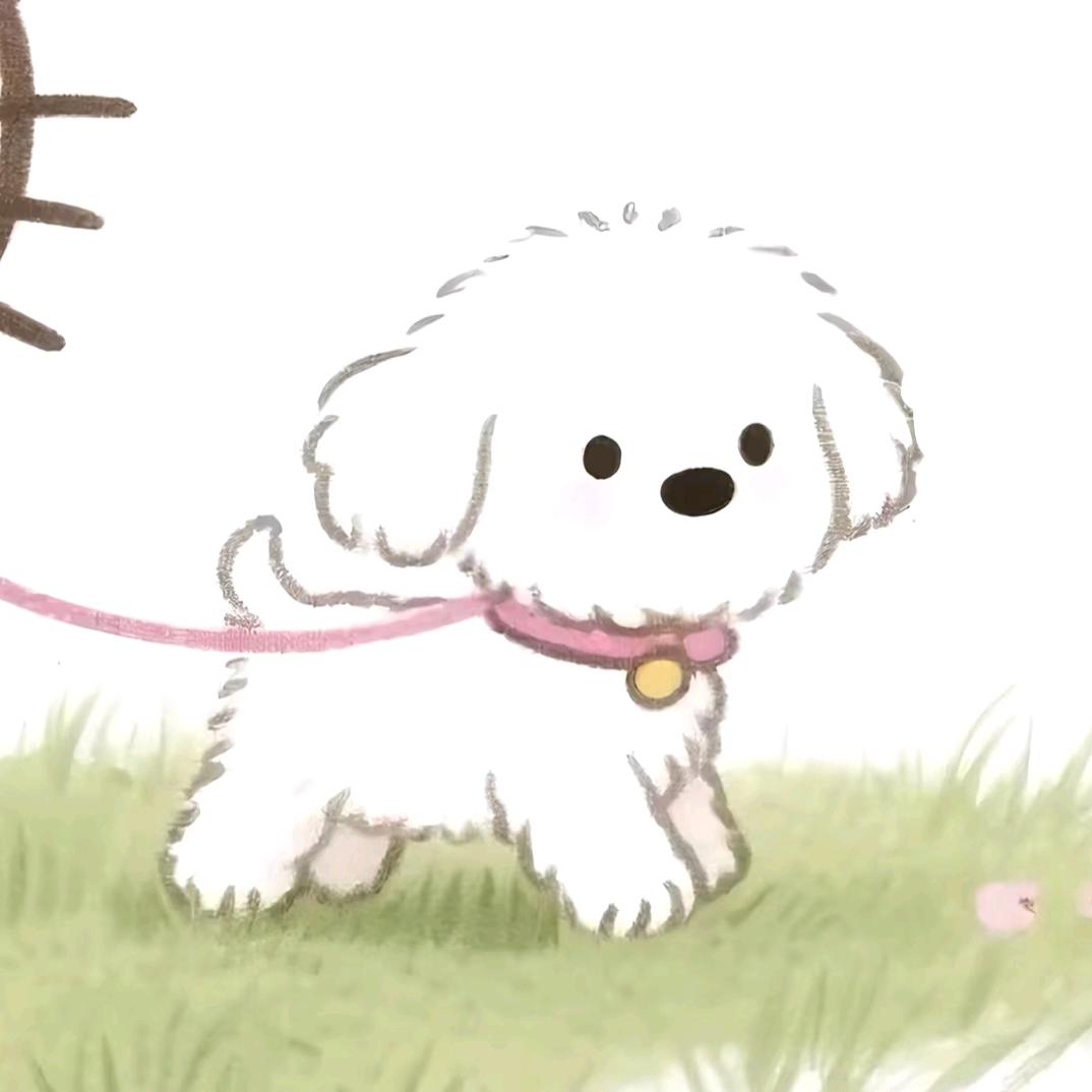 小灰灰