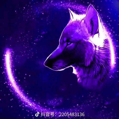 ✨💕虎狼之威✨💕
