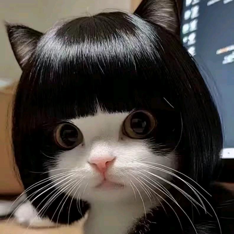 熙和