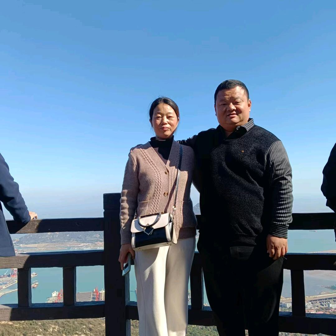 四季沐歌厨房电器——胖子