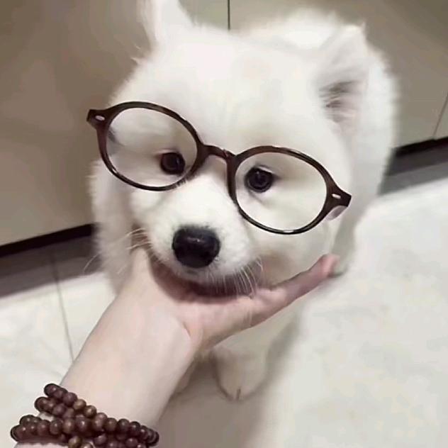 嘻嘻.o( ❛ᴗ❛ )o