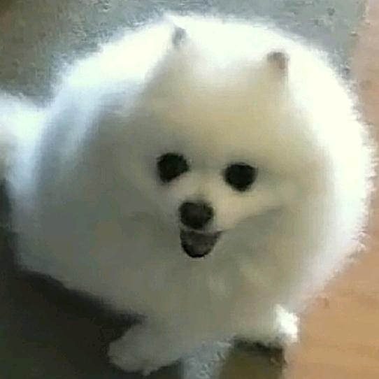 孞琞