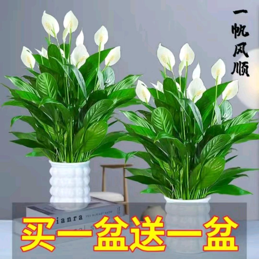 幸福一辈子7