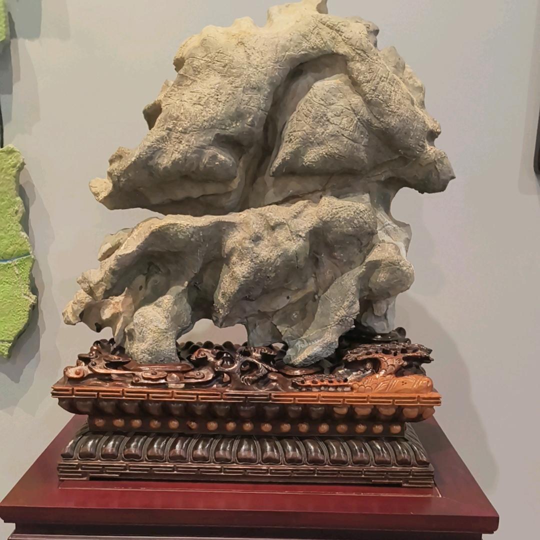 自由飞翔🦅🦅🌹🌹🌻🌻