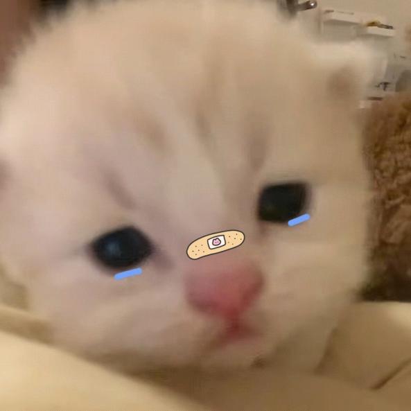 怎么吃不饱