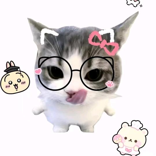 专治不听话老登