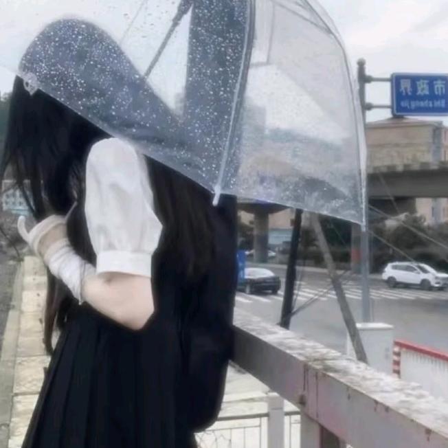 晴崽