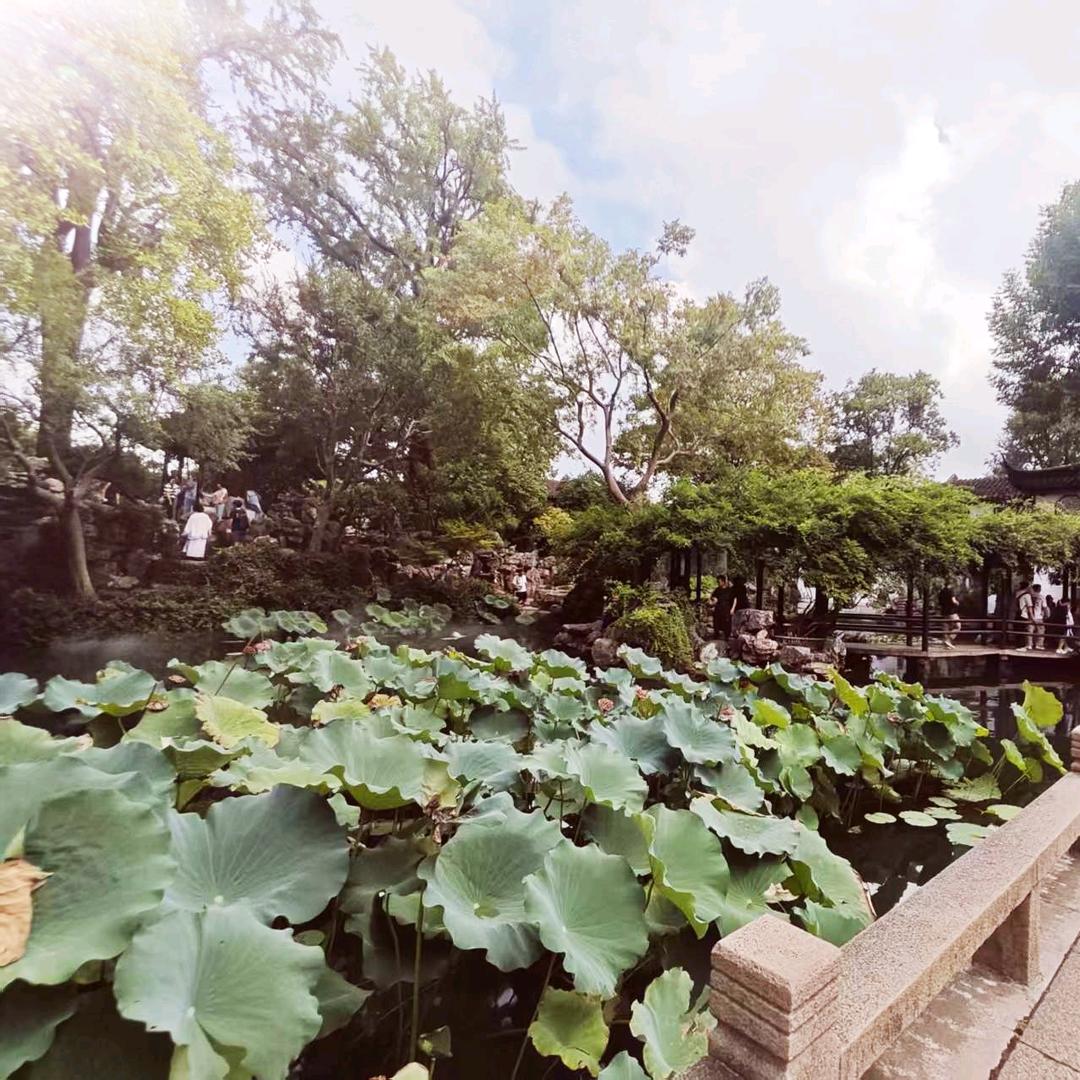 慧菲