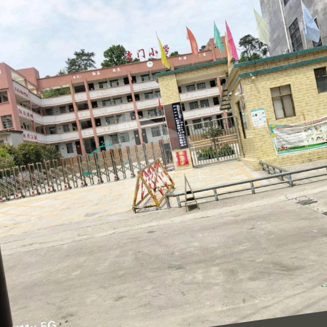 往事随枫