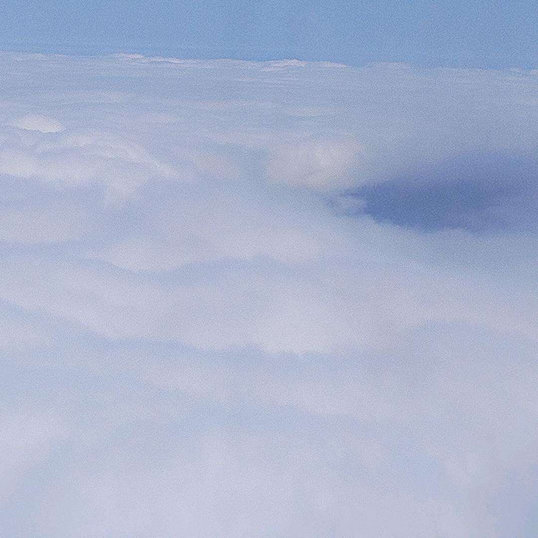 唯她@是命