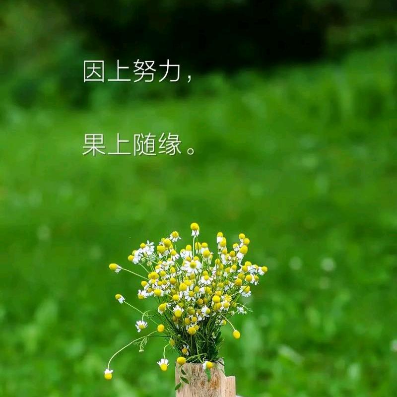 ♥╰☆の繁华☆╮♥