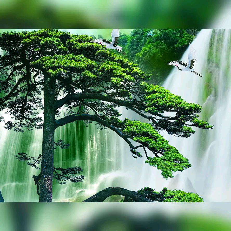 墨染云笺
