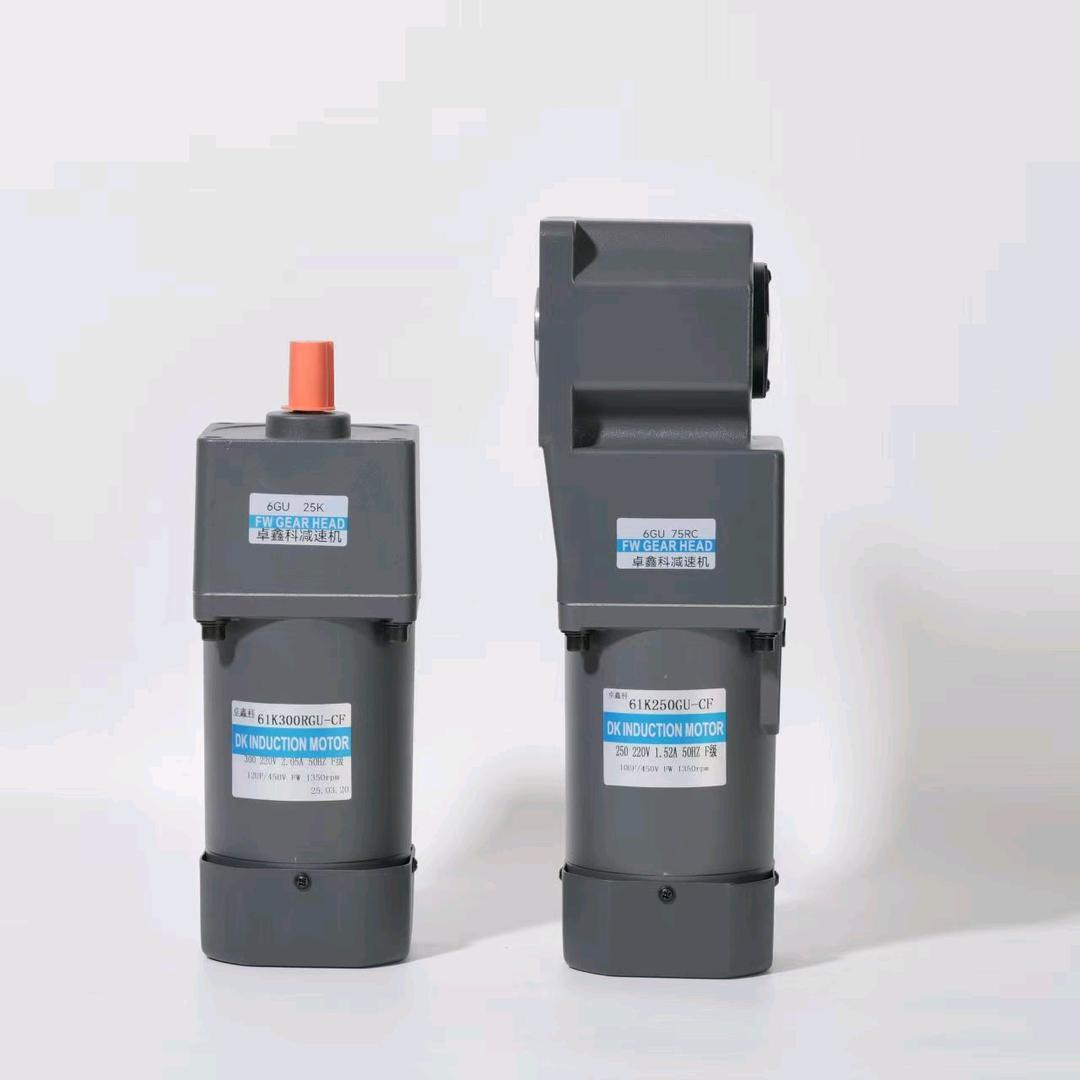 齿轮减速电机