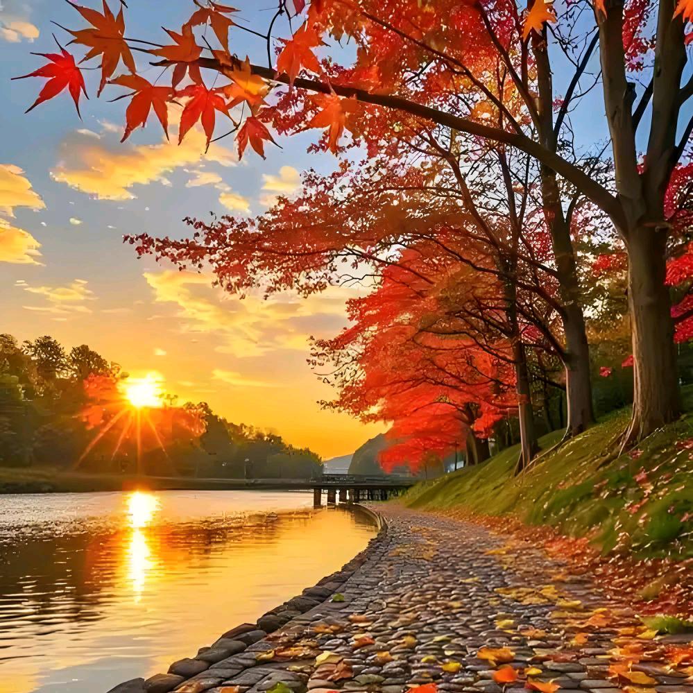 এ᭄ོ又一年ོ💞枫叶落ృ༊