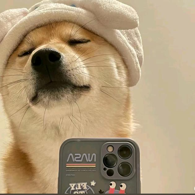 慕辰