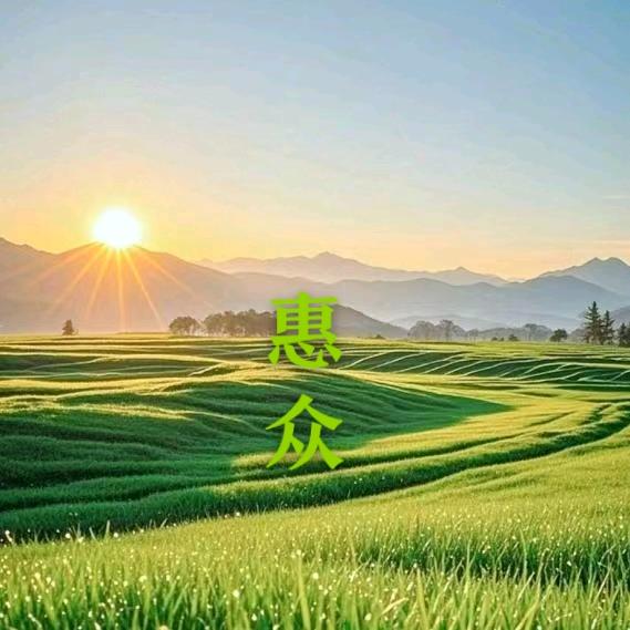 泰山老奶奶 惠众