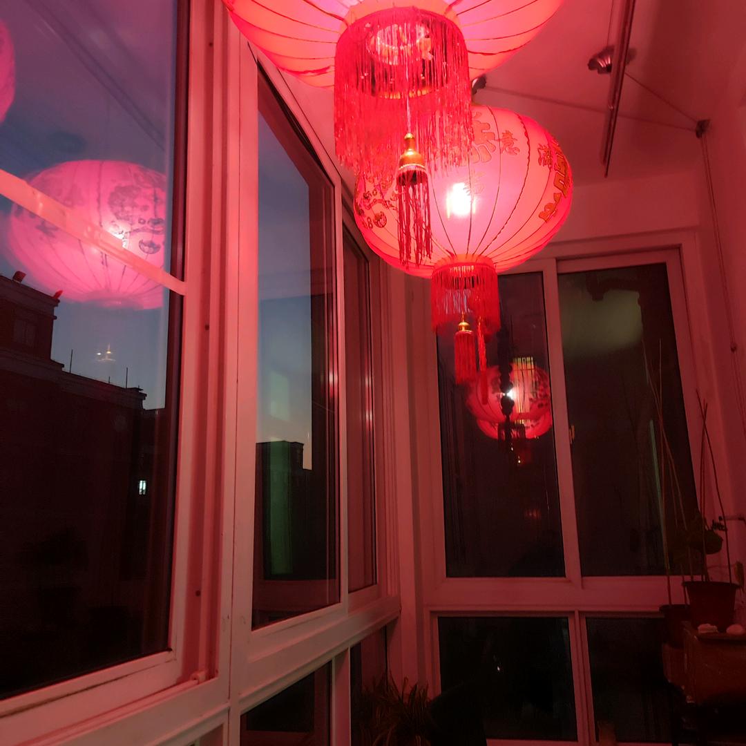 扶窗览月