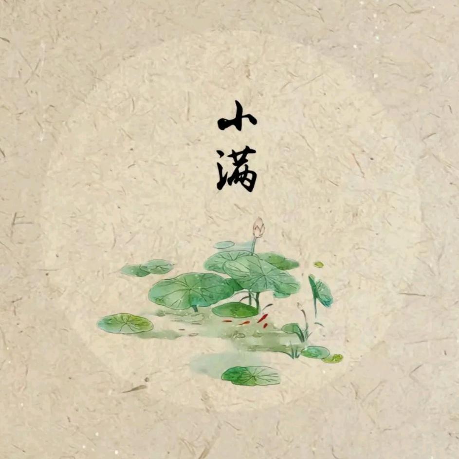 小满爱探索