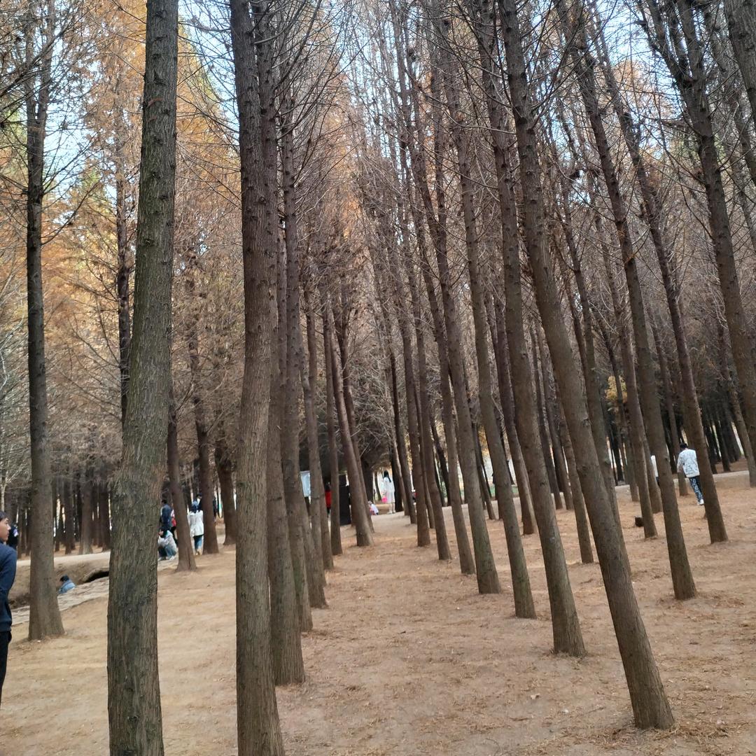 🌈🌈Lovcer🌈🌈