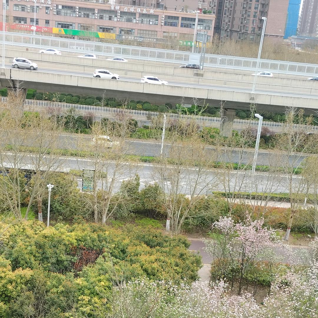 建哥