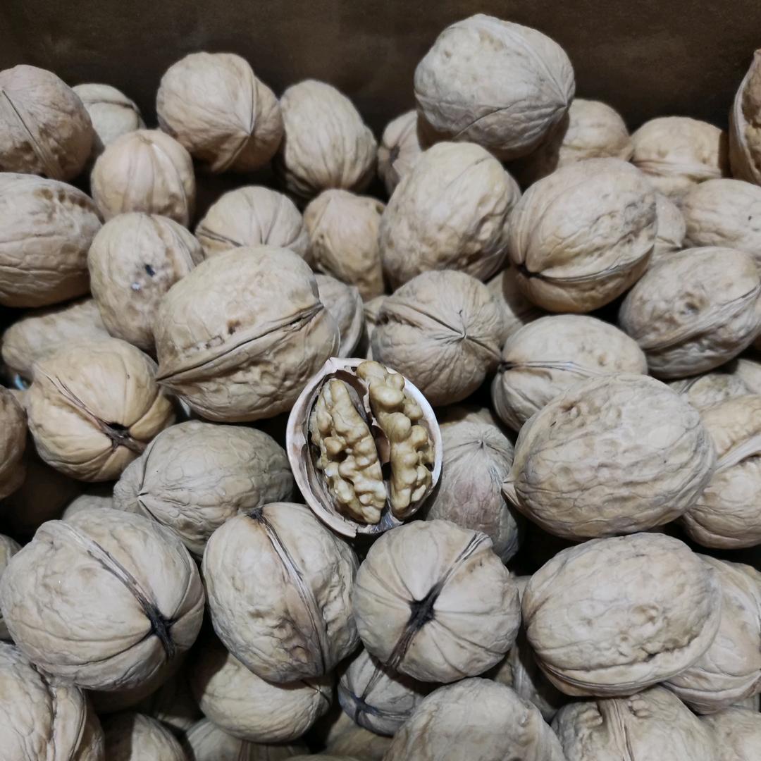 惠好新疆185纸皮核桃